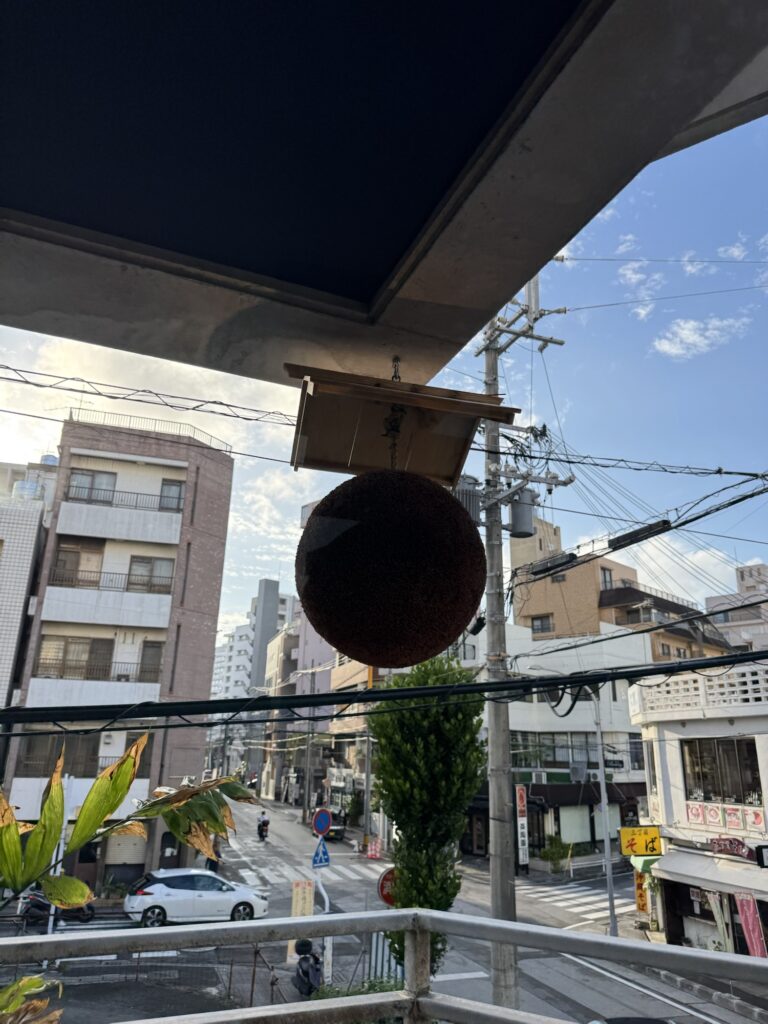 国際通り周辺の暮らしを紹介する写真